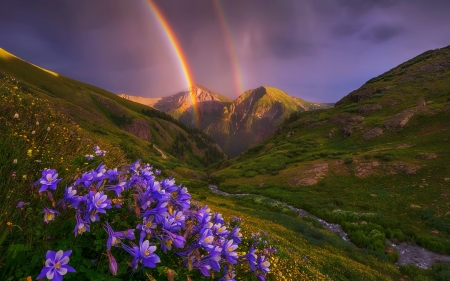 After the rain - wildflowers, hills, rainbow, rain, sky, sunset, mountain