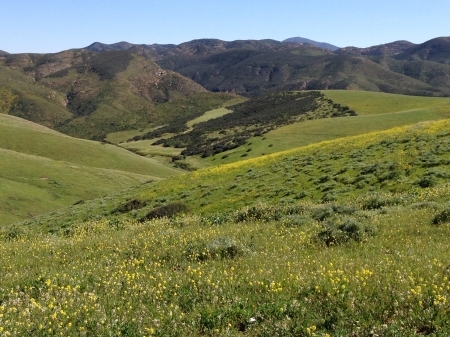 Baja spring landscape - nature, green, landscape, spring, grass, mountains