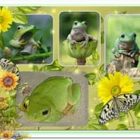 LOVELY FROGS