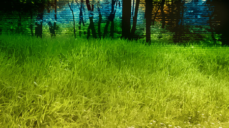 Forest - art, forest, blue, green, 2010