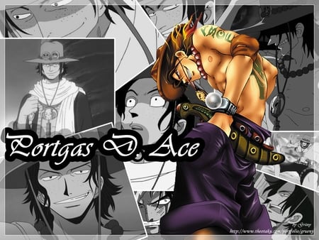 Ace Memories - one piece, commander, whitebeard, pirate, ace, fire fist ace