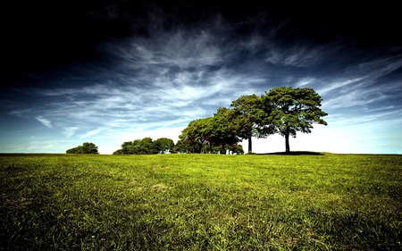 GREEN WORLD - dark sky, clouds, field, trees, grass