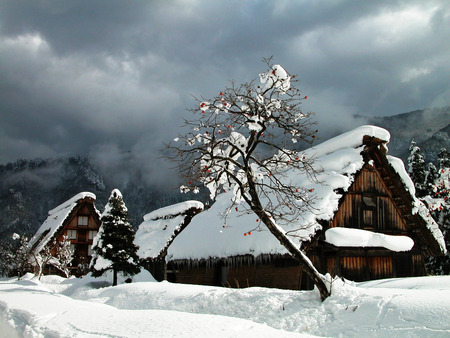 SNOW HOUSE - winter, house, snow