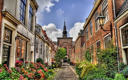 A beautiful neighborhood - street, sky, houses, popular, light, wallpaper, buildings, tower, road, plants, town, architecture, color, flowers, hdr