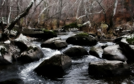 Buck's County - water, trees, rocks, creek