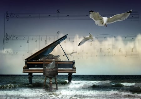 music - piano, music, bird cage, seagull, sea