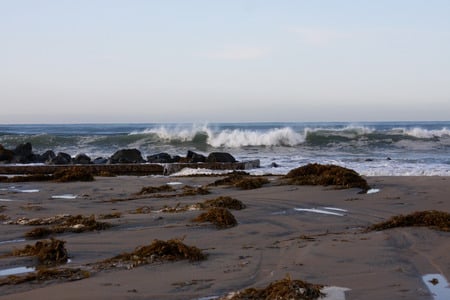 Coronado, CA - ocean, california, san diego, waves