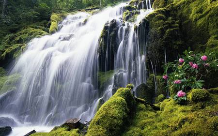 Wide Waterfall - nice, fall, water, green, waterfall