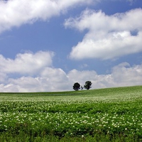 Hokkaido Landscape 2 - HQ