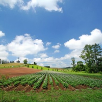 Hokkaido Landscape 4 - HQ