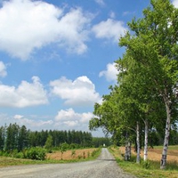 Hokkaido Landscape 5 - HQ