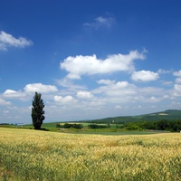 Hokkaido Landscape 7 - HQ