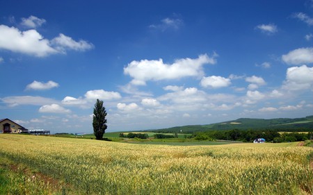 Hokkaido Landscape 7 - HQ - hq, hd, hokkaido, landscape