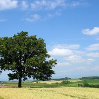 Hokkaido Landscape 8 - HQ