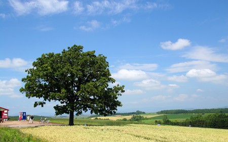 Hokkaido Landscape 8 - HQ - hd, landscape, hokkaido, hq