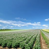 Hokkaido Landscape 9 - HQ