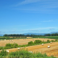 Hokkaido Landscape 20 - HQ