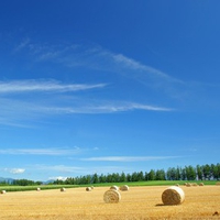 Hokkaido Landscape 19 - HQ