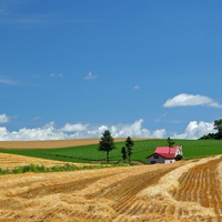 Hokkaido Landscape 18 - HQ