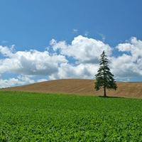 Hokkaido Landscape 17 - HQ