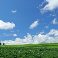 Hokkaido Landscape 14 - HQ