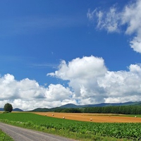 Hokkaido Landscape 13 - HQ