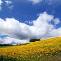 Hokkaido Landscape 11 - HQ