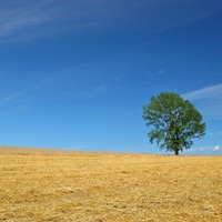 Hokkaido Landscape 21 - HQ