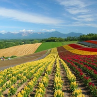 Hokkaido Landscape 22 - HQ