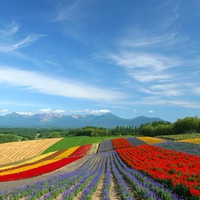 Hokkaido Landscape 23 - HQ