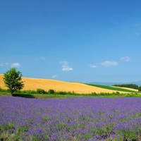 Hokkaido Landscape 27 - HQ