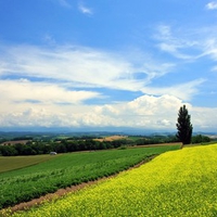 Hokkaido Landscape 33 - HQ