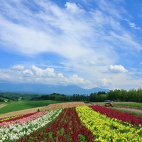 Hokkaido Landscape 35 - HQ