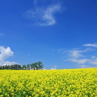 Hokkaido Landscape 34 - HQ