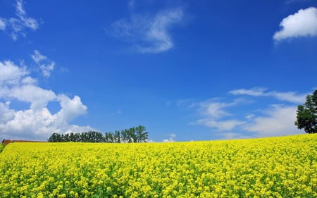 Hokkaido Landscape 34 - HQ - hd, landscape, hokkaido, hq