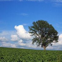 Hokkaido Landscape 36 - HQ