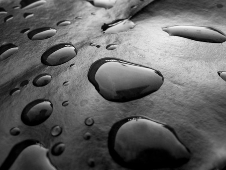 waterdrops on skin - waterdrops, cool, water, black, awesome, abstract