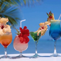 Summer Cocktail Drinks .jpg