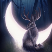 Moon bunny