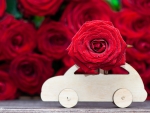 â™¥