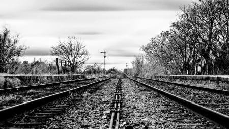 Abandoned railway - Trees, Grass, Abandoned, Railway