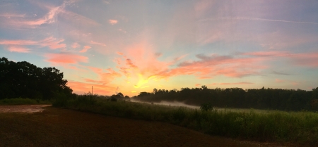 sunrise over field - fog, dew, field, sunrise