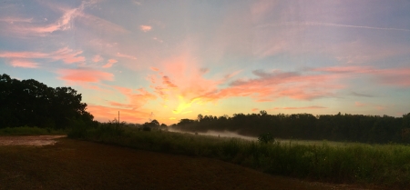 sunrise over field - sunrise, field, fog, dew