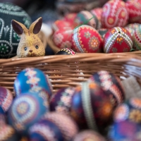Happy Easter!