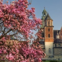 Spring in Krakow