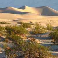 Death Valley