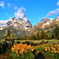 spring day in the mountains