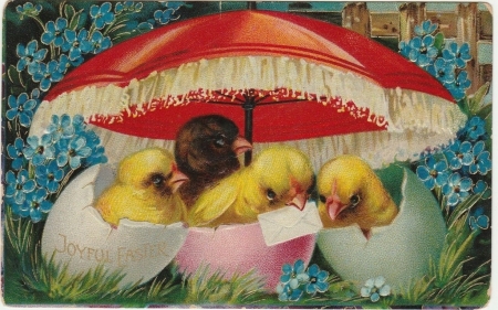 Happy Easter! - bird, yellow, blue, chick, flower, pink, easter, pasari, white, umbrella, parasol, vintage, red, green, card