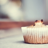 Chesnut muffin