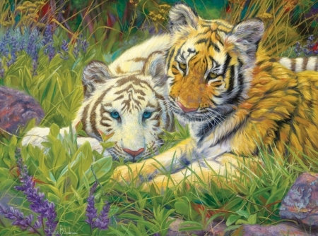 Tiger cubs